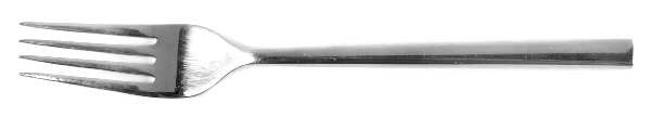 Luna (Stainless) Fork