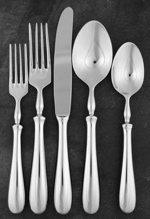 Savant (Stainless) 5 Piece Place Setting