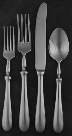 Savant (Stainless) 4 Piece Place Setting