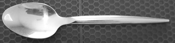 Vega (Stainless) Teaspoon