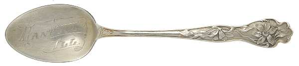 Wild Rose (Sterling) Souvenir Spoon (Five O'Clock)