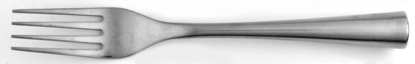 PBN20 (Stainless) Individual Salad Fork