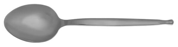 Radius (Stainless) Tablespoon (Serving Spoon)