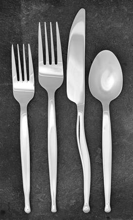Radius (Stainless) 4 Piece Place Setting