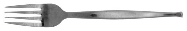 Radius (Stainless) Fork