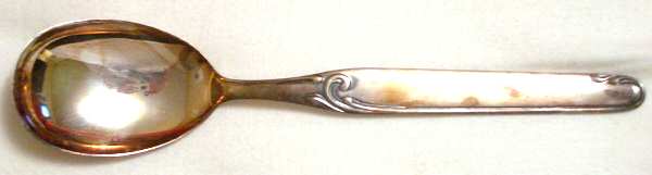 PDS1 (Stainless) Teaspoon