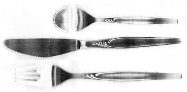 P1R2 (Stainless) Fork
