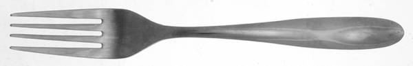 PFF32 (Stainless) Fork