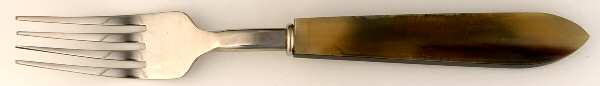 Horn (Stainless) Fork