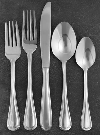 Rockport (Stainless) 5 Piece Place Setting by Pfaltzgraff