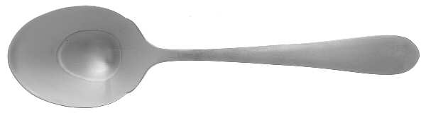 Salisbury Satin (Stainless) Sugar Spoon