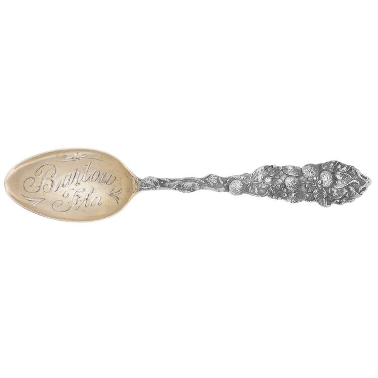 States &amp; Cities Souvenir Spoons(Sterling) by Paye &amp; Baker Mfg Co