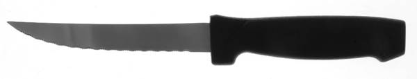 Satin Gotham (Stainless) Plastic Handle Individual Steak Knife by Pfaltzgraff