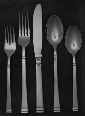Riley (Stainless) 5 Piece Place Setting