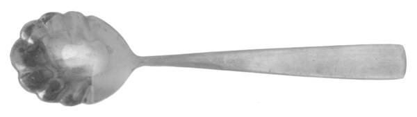 Satin Danford (Stainless) Sugar Shell Spoon