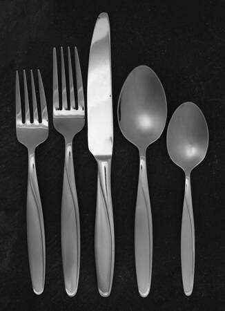 Silhouette Frost (Stainless) 5 Piece Place Setting