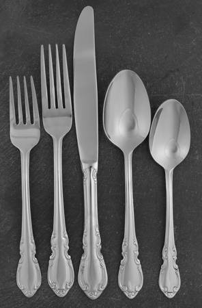Vienna (Stainless) 40 Piece Estate Set by Pfaltzgraff
