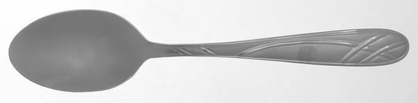 Hoopla Frost (Stainless) Teaspoon
