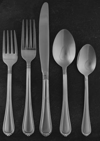 Nouveau (Stainless) 5 Piece Place Setting by Pfaltzgraff