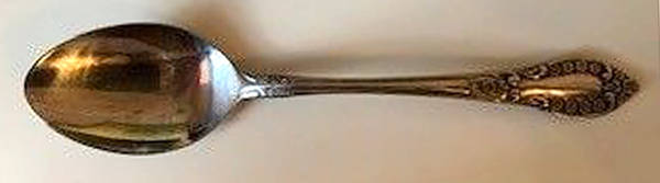Medina (Stainless) Teaspoon