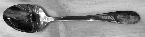 Carmen (Stainless) Teaspoon