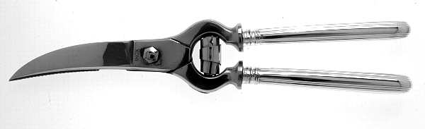 Ascot (Silverplate) Poultry Shears with Stainless Blades