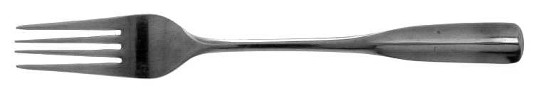 Ashland (Stainless) Fork