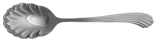 Bentwood (Stainless) Sugar Shell Spoon