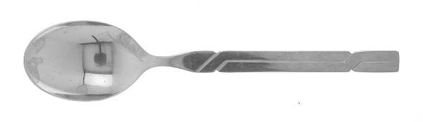 Camelback (Stainless) Teaspoon