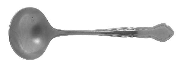 Carriage (Stainless) Solid Gravy Ladle