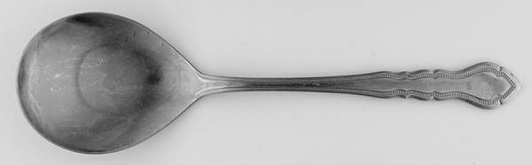 Carriage (Stainless) Solid Salad Serving Spoon