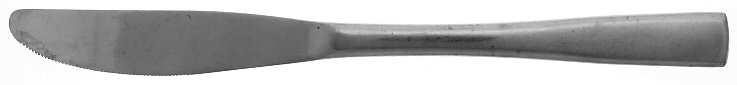 Fiddler (Stainless) Modern Solid Knife