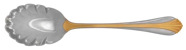 Golden Ariel (Stainless, Gold Accent) Sugar Shell Spoon