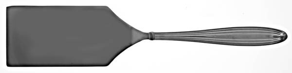 Golden Jubilee (Stainless) Lasagna Server, Solid Piece