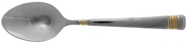 Golden Longwood (Stainless) Teaspoon