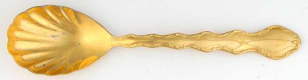 Golden Summertime (Gold Electroplate) Sugar Shell Spoon
