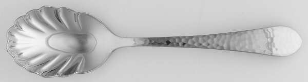 Hammered Antique Glossy (Stainless) Sugar Shell Spoon