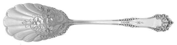 La Touraine (Sterling, 1895) Large Jelly Spoon