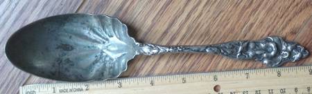 Les Six Fleurs (Sterling, 1901) Solid Pudding Spoon