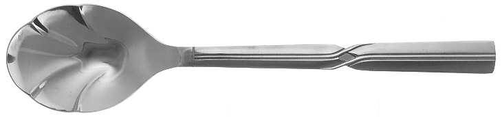 Newport Beach (Stainless) Sugar Shell Spoon