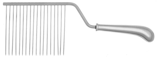 Olde Lexington (Stainless) Cake Breaker with Silverplate Prongs HC