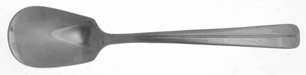 RDS18 (STAINLESS) Sugar Spoon
