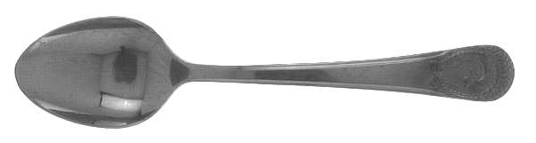 RDS31 (STAINLESS) Teaspoon
