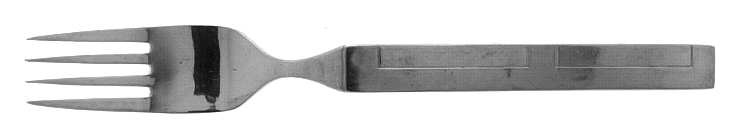 Kristina (STAINLESS) Fork