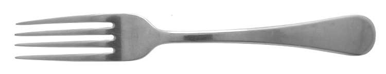 RDS7 (STAINLESS) Fork