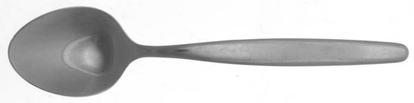 RDS9 (STAINLESS) Teaspoon