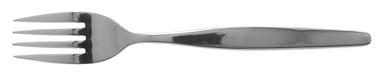 RDS9 (STAINLESS) Fork
