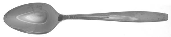 Safari (Stainless) Teaspoon