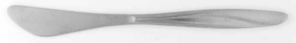 Seascape (Stainless, Glossy Finish) Flat Handle Butter Spreader
