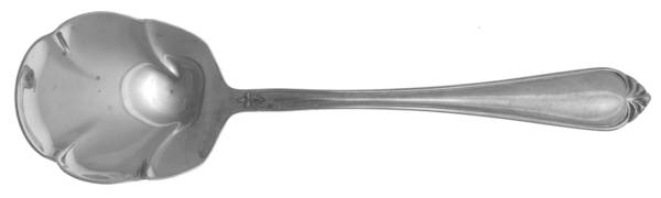 Solange (Stainless) Solid Shell Casserole Spoon